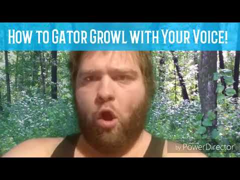 How to Gator Growl with Your Voice!