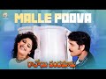 Malle Puvva Full Video Song Ravoyi Chandamama Movie Nagarjuna Mani Sharma Vyjayanthi Movies