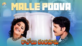 Download lagu Malle Puvva Full Video Song | Ravoyi Chandamama Movie | Nagarjuna | Mani Sharma | Vyjayanthi Movies mp3 Download lagu Malle Puvva Full Video Song | Ravoyi Chandamama Movie | Nagarjuna | Mani Sharma | Vyjayanthi Movies mp3