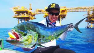 Mahi-mahi giàn khoan Mahi-mahi giàn khoan