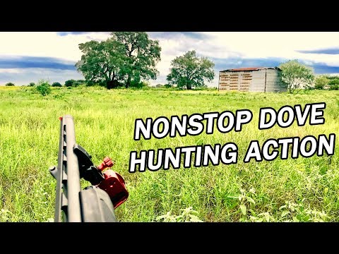 Insane Nonstop Dove Hunting Action on the Opening Weekend of Dove Season