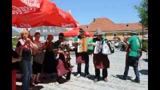 preview picture of video 'ZAMPOGNARI FRIULANI A MARIA SAAL - Austria . nr. 4'