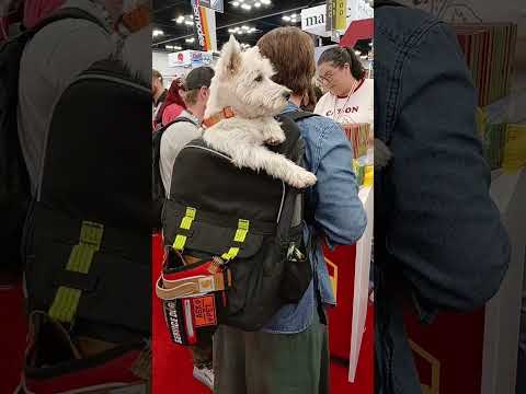 Day 1, Part 29. This dog has the best seat at Gen Con lol.