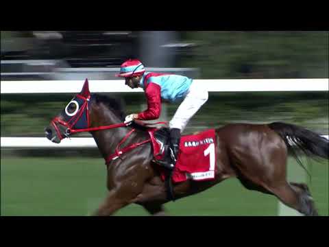 24/11/2021 (197) We The South - J Moreira