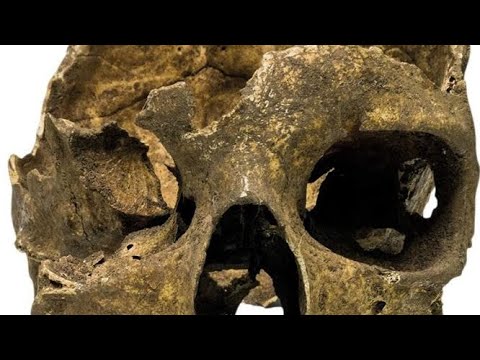 Face of a 7,500-year-old woman reveals Gibraltar's earliest humans#realhistorystore #trending