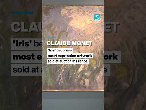 Claude Monet: 'Iris' becomes most expensive artwork sold at auction in France