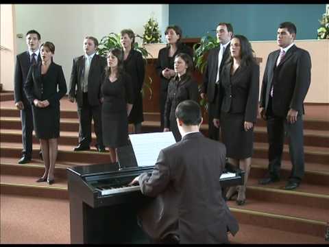 Pot purtat de vant sa zbor