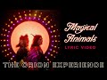 Magical Animals - Lyric Video ✨ The Orion Experience
