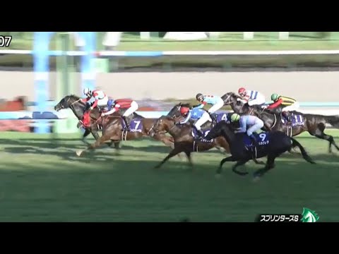 スプリンターズステークス2022 現地観戦@中山競馬場