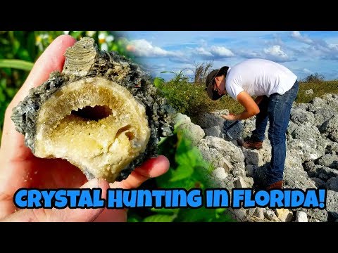 Crystal Hunting in Florida for Calcite Geodes in Fossil Shells 🐚⛏