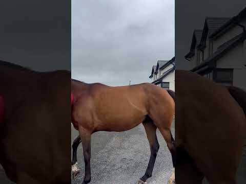 Video 5