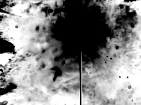 The KVB - Dayzed (Regis Version)