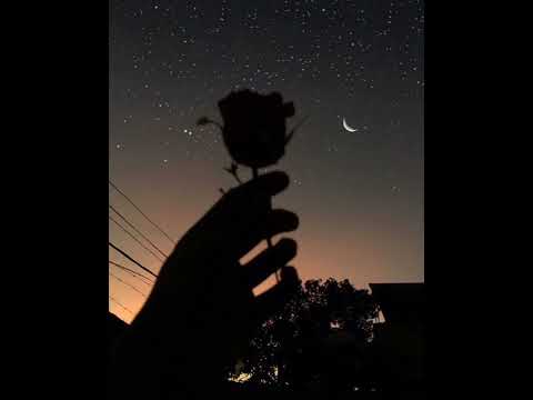 911 Daniela Araujo Jota A e Rubinsky Rbk (lyrics)