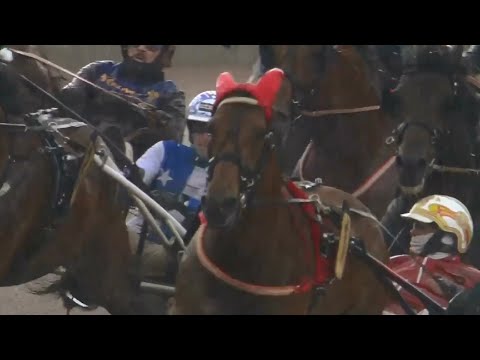 Sweden Cup Final 2022 - Bepi Bi