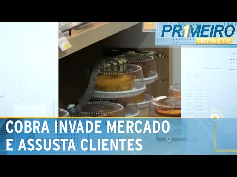 Flagra: cobra assusta clientes e funcionários em supermercado | Primeiro Impacto (23/08/23)