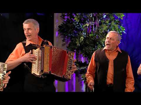 MYJAVSKÍ HELIGÓNKARI - Tie ružičky také pekné biele