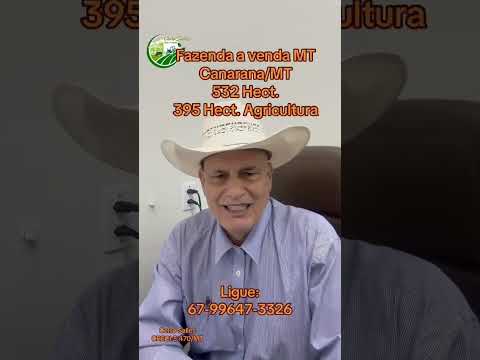 Fazendas a venda em Mato Grosso do sul