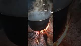 Download lagu air mendidih#shorts mp3 Download lagu air mendidih#shorts mp3