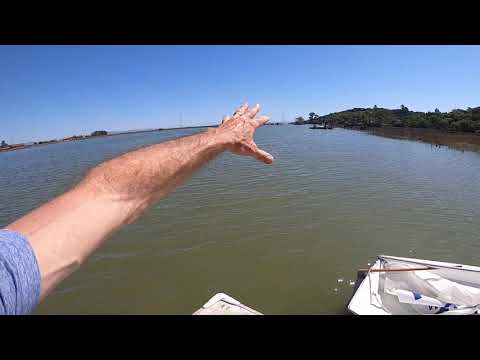 Restoring covid-quarantine project boats - a Lido 14 sailboat and Seaflite 179SS ski boat