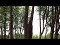 channel