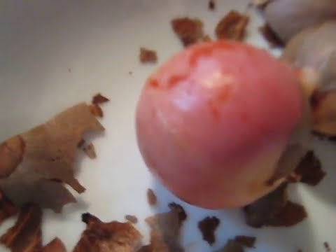 Como se utiliza la semilla de aguacate para adelgazar