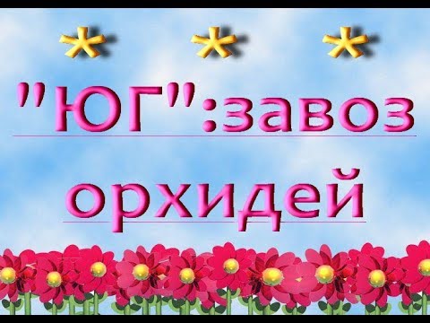 ЗАВОЗ красивых ОРХИДЕЙ и ВАНД в "Юге",13.07.2019.