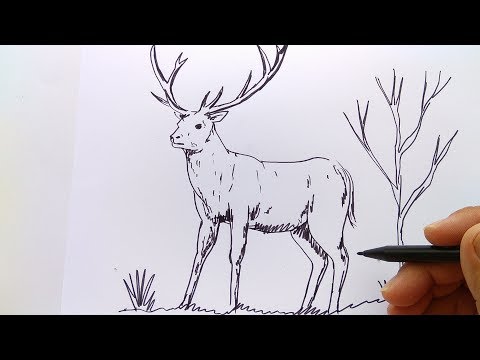 download lagu mp3 mp4 Tutorial Gambar Rusa, download lagu Tutorial Gambar Rusa gratis, unduh video klip Tutorial Gambar Rusa