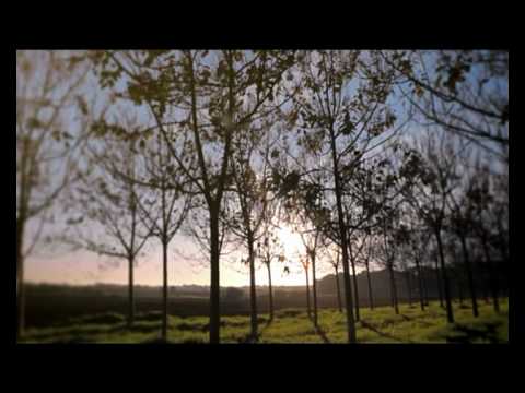 Video thumbnail for Lishon Bil’aday - לישון בלעדיי