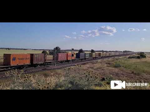 SCT - C501-CLF2 Heads 7922V through Manor Loop