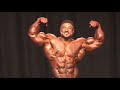 Roelly