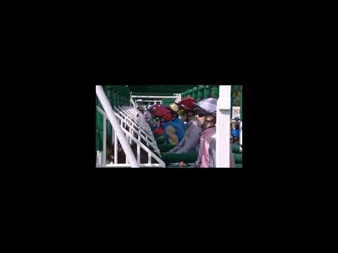 Race (2) 15:05 Ascot 17 Jun 2025  Coventry Stakes Group 2 | Class 1 2YO only Winner £99,242 - 20 ran