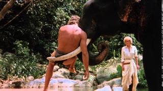 Tarzan, the Ape Man (1981) Video