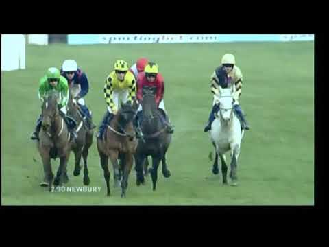 2010 sportingbet.com Long Distance Hurdle