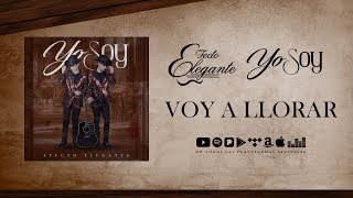 Voy A Llorar Lyrics English Translation