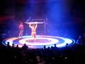 Opening CIRCUS Act