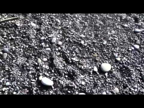 Geology of Rialto Beach