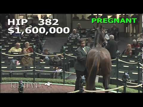 2014 November Breeding Stock Sale: Hip 382 - Precious Stone (IRE)