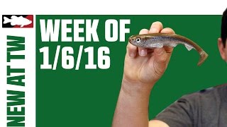 What's New At Tackle Warehouse 1/6/16