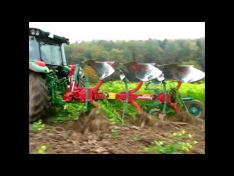 Witaminy apteki do włosów w ampułkach Maski do wzmocnić włosy z czosnkiem