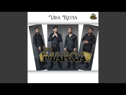 Dinastia De Perrones