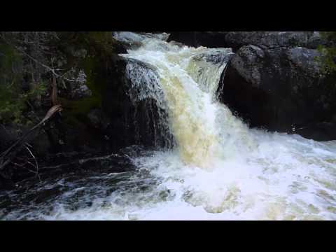 Mount Carleton Provincial Park | Pic Of The Day