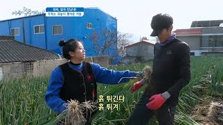[대파, 임자 만났네!] 우리는 귀농이 맺어준 커플
