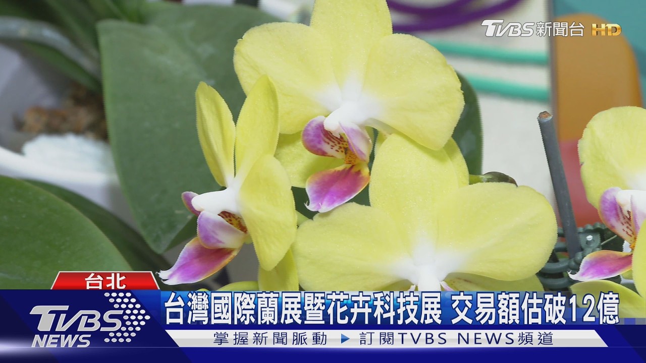 台灣國際蘭展暨花卉科技展 交易額估破12億