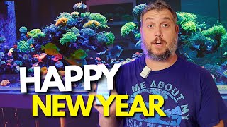 FULL YEAR OF REEF TANKS: Every Amazing Moment From 2025!