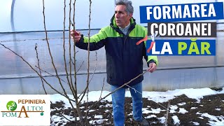 Cum efectuam tăierile de formare la PĂR?