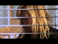 Law Order SVU Forgiving Rollins