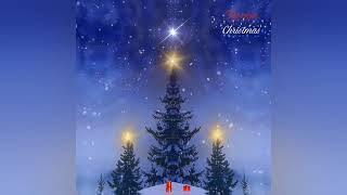 Survivor - Christmas is Here