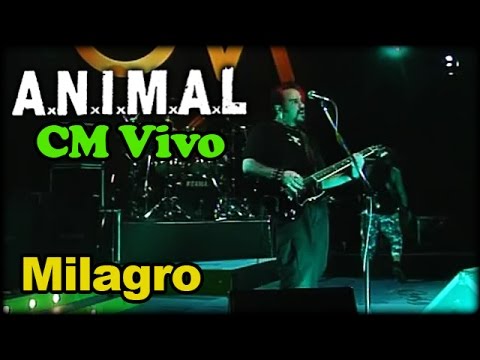 Animal (A.N.I.M.A.L.) video Milagro - CM Vivo 2002