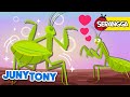 Serangga Mencari Cinta Belalang Kunang Kunang Lagu Anak Anak JunyTony Bahasa Indonesia