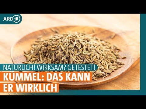 Kümmel: Das kann die Pflanze | ARD Gesund